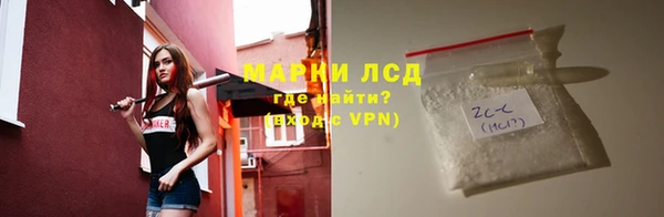 хмурый Лагань