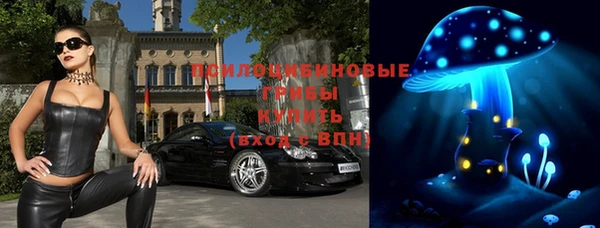 хмурый Лагань